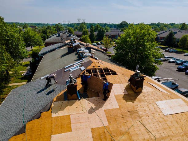 Trusted Roof Replacement service in Lily, KY - Brentwood Metal Roofing
